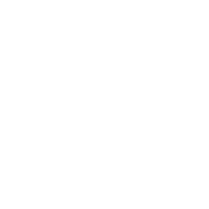 MADE IN CUBA ICON copy